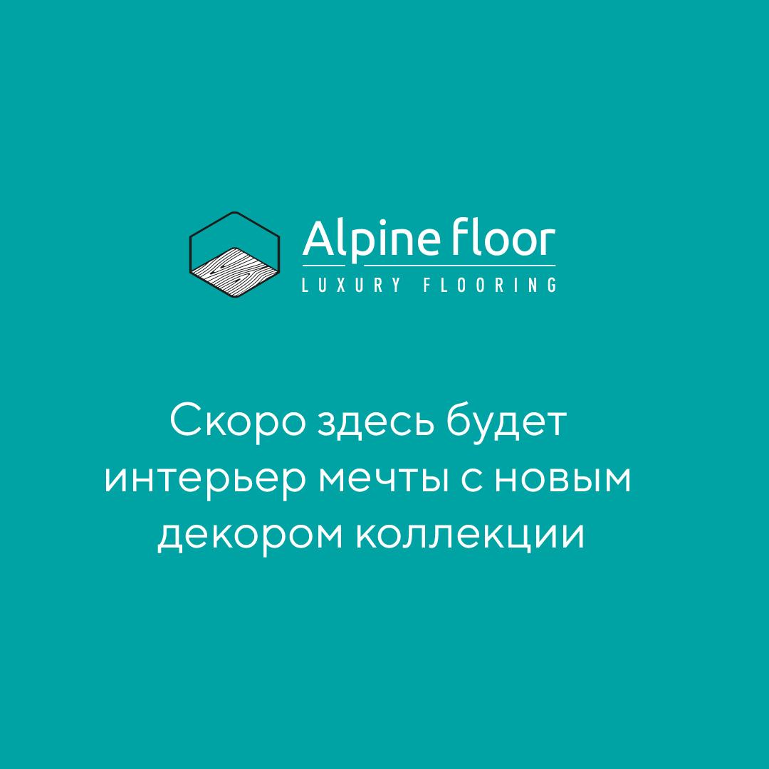 https://bitrix.alpinestore.su/upload/iblock/840/jdnfru3owsnssec1p1e2rnp2l34isgtg/alpine.jpg
