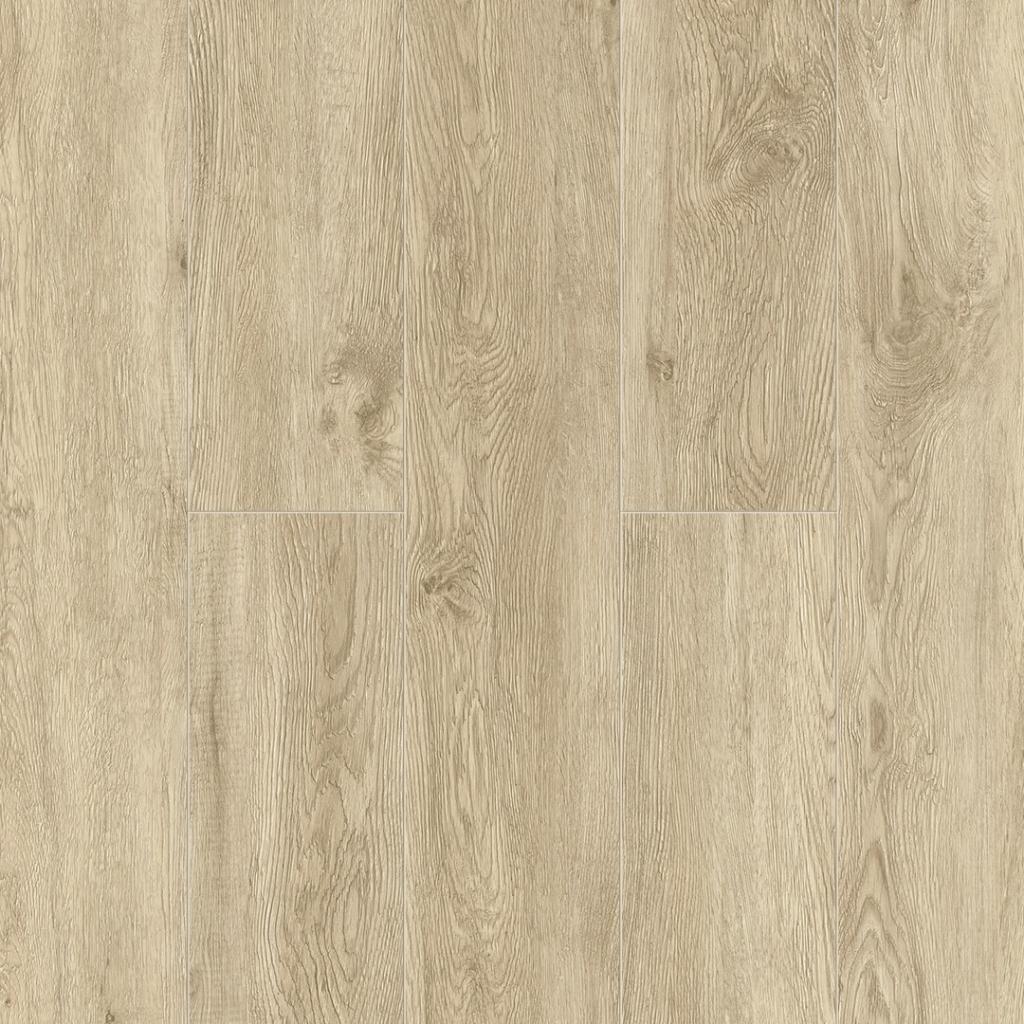 ГРАНД СЕКВОЙЯ КАМФОРА ECO 11-508 MC